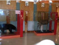 森林展示館の玄関前