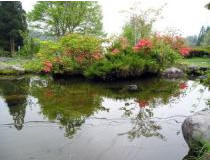 森林展示館の玄関前