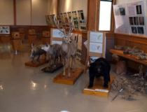 森林展示館の玄関前