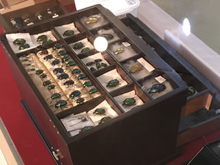 まるで宝石店のように