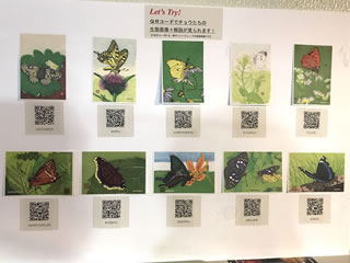 生態写真がスマホで